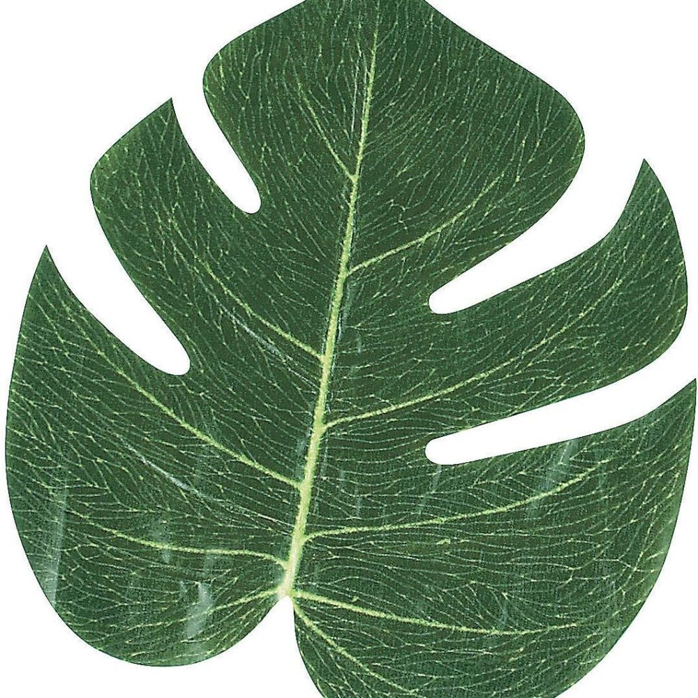Fun Express FX IN-70/1514 Tropical Leaves (Pack of 12), 8"